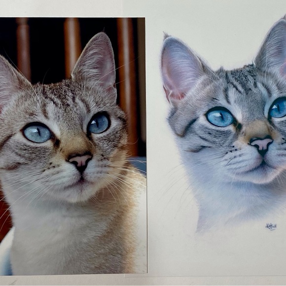 Collection of new colored pencils and  accessories - Picture 12 of 16